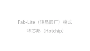 Fab lite（轻晶圆厂）模式